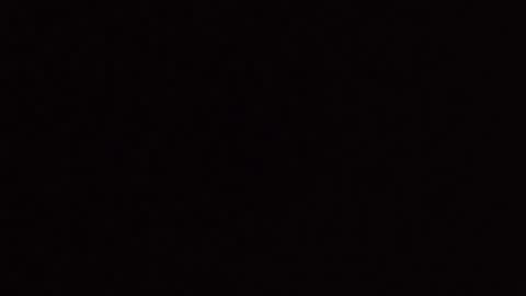 dishax26x online show from February 16, 11:30 am