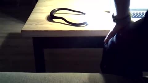 DKdad online show from February 3, 4:22 pm