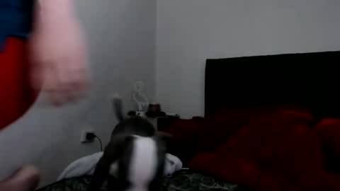 Snapshot of doll_sary chatting on February 8, 9:03 am Catherine XXX online show from February 8, 9:03 am