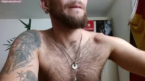 Logan - INDEPENDET MODEL online show from April 16, 8:09 pm