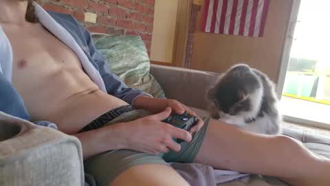 dommepleasemistress online show from February 21, 7:28 pm