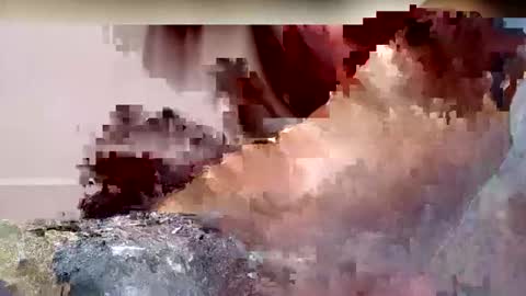 Mrdopedick online show from February 26, 10:27 am