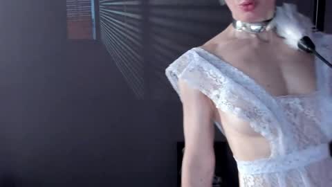 Dorothy Next stream on Monday at 3am-9am online show from April 18, 9:04 pm