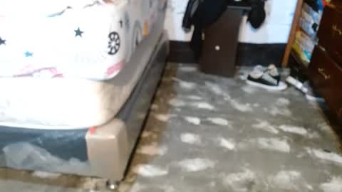 dreamreal online show from April 11, 10:52 am