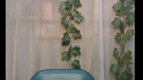 linda online show from September 29, 12:26 pm