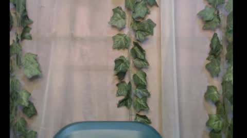 linda online show from September 30, 12:37 pm