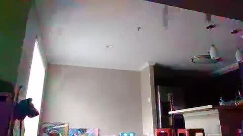 SmoovFanz online show from November 17, 3:47 pm