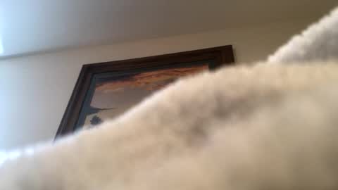 ducebabydee online show from April 6, 4:52 pm