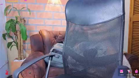 D Y L A N online show from March 6, 2:43 am