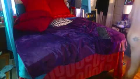 eastbayboy57 online show from February 9, 12:53 pm