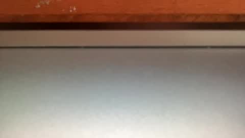 ebnk15 online show from January 10, 8:20 am