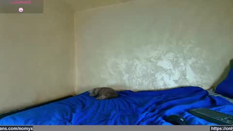 Nomyx  OF check online show from December 2, 7:01 pm