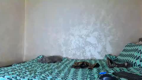Snapshot of edavanessa7 chatting on October 7, 6:48 pm Nomyx OF check online show from October 7, 6:48 pm