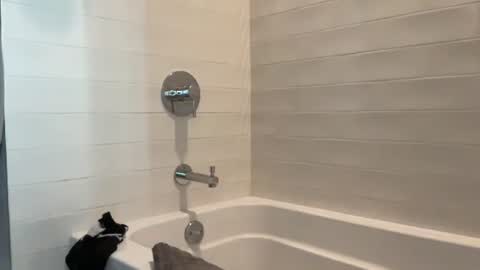 Dad online show from October 20, 1:27 pm