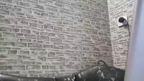 edithmanning online show from February 18, 1:55 pm