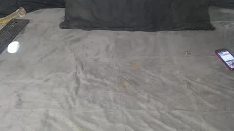 elgsslt online show from September 23, 1:49 pm