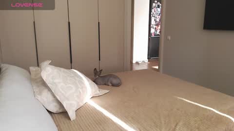 Elise online show from June 14, 12:54 am