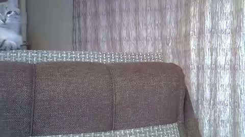 Snapshot of ellajohnsonx chatting on December 1, 7:38 pm ellajohnsonx online show from December 1, 7:38 pm