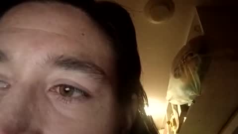 emileeoptional online show from October 30, 2:45 am