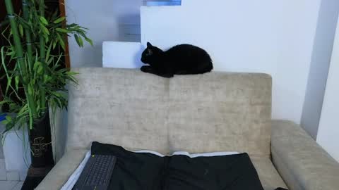 Emma Blue  modelo independiente online show from April 22, 3:57 am