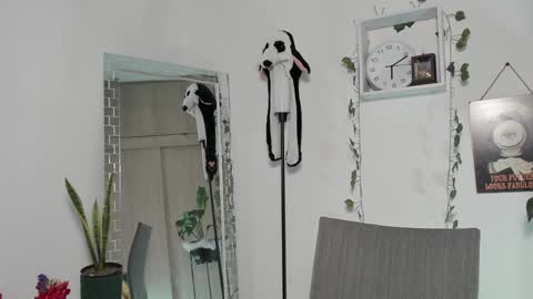 Emperatriz online show from January 30, 11:13 pm