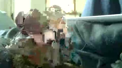 encormoi online show from November 12, 9:11 am