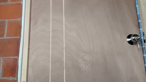 Erick online show from February 6, 11:20 am