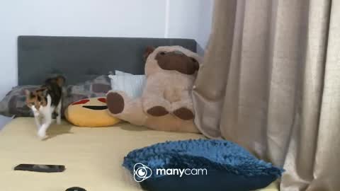 Snapshot of evy_conor chatting on March 6, 9:36 am Evy conor online show from March 6, 9:36 am