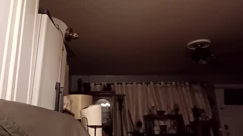 Exoticlexxii online show from February 19, 12:43 am