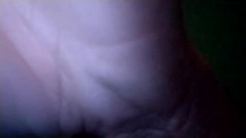 experttreecompany online show from March 15, 2:20 pm