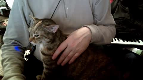 Fabius online show from January 23, 12:52 pm