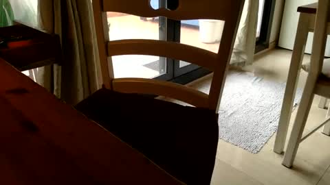 Fabro online show from March 6, 3:13 pm