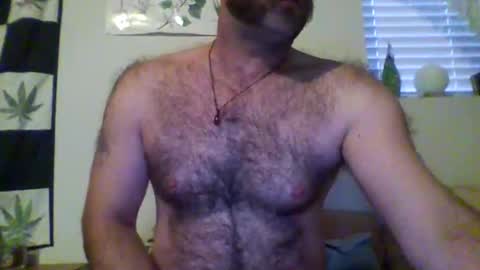 faceforyourbutt online show from November 7, 3:03 pm