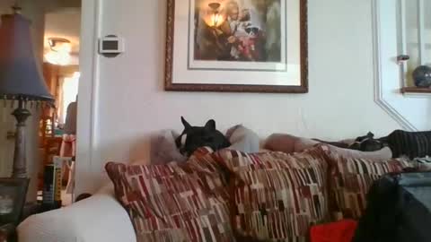 fairmount31 online show from February 19, 7:16 pm