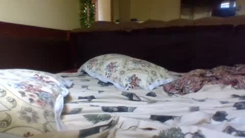 fancy_bellah online show from February 16, 7:48 am