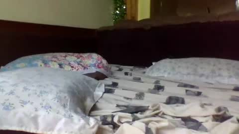 fancy_bellah online show from March 9, 3:05 pm