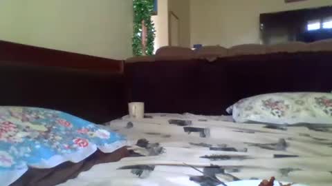 fancy_bellah online show from February 15, 10:11 am