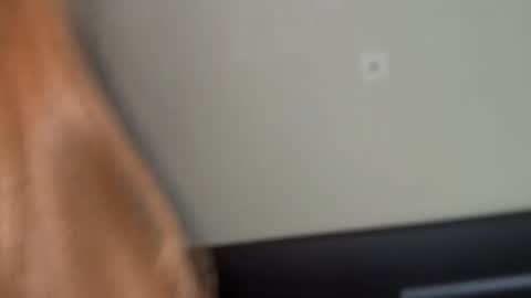 fantasy_moonlight online show from February 24, 5:27 pm