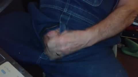 Fred. online show from November 11, 9:17 pm