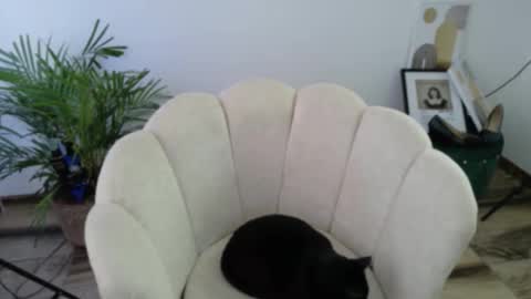 Snapshot of feelina_firesoul chatting on October 15, 7:47 pm Feelena online show from October 15, 7:47 pm