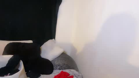 this is justice tricia a bigelow. she was fucking my husband tom girardi online show from November 2, 8:58 am