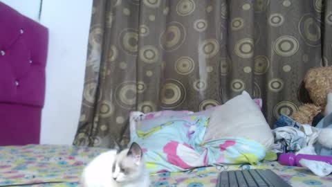 Fenixxx online show from February 6, 7:12 am