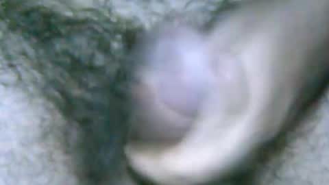 Snapshot of fer_2197 chatting on December 6, 6:55 pm fer_2197 online show from December 6, 6:55 pm