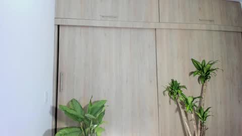 filletatouee online show from November 14, 3:09 am