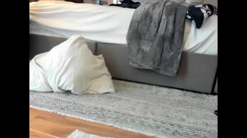 Fill My Little Hole online show from September 27, 6:27 pm