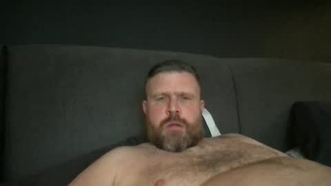 fin bear dom online show from March 28, 4:08 pm