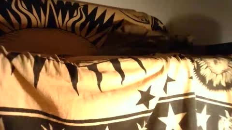 fit_cock89 online show from February 27, 5:16 pm