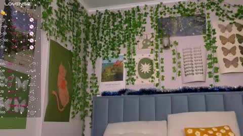 Ashle online show from January 15, 4:32 am