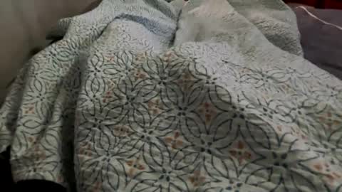 Show Starts in 20 online show from December 29, 4:19 pm