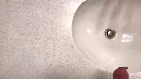 Snapshot of flowaley chatting on January 19, 5:37 am flowaley online show from January 19, 5:37 am